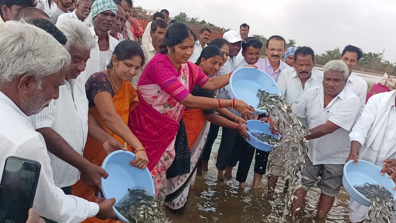 కేసీఆర్ వల్లే తెలంగాణలో మత్స్య సంపద పెరుగుదల: ఎమ్మెల్యే పద్మ కేసీఆర్ వల్లే తెలంగాణలో మత్స్య సంపద పెరుగుదల: ఎమ్మెల్యే పద్మ