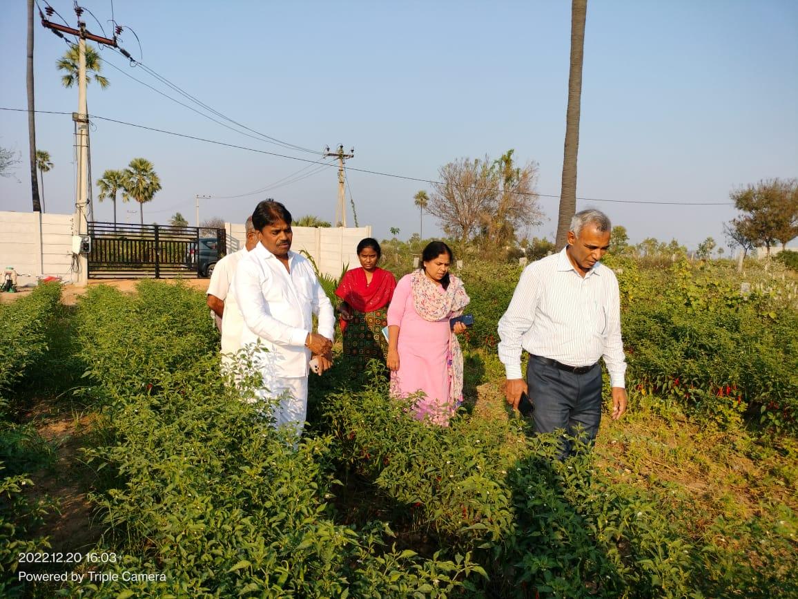యాదాద్రి భువనగరి జిల్లా: యాజమాన్య పద్ధతులతో నాణ్యమైన మొక్కల ఉత్పత్తి: BNరావు యాదాద్రి భువనగరి జిల్లా: యాజమాన్య పద్ధతులతో నాణ్యమైన మొక్కల ఉత్పత్తి: BNరావు
