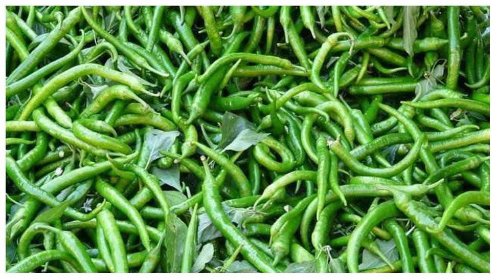 Green Chilli | పచ్చి మిర్చీని పక్కన పెట్టేస్తున్నారా..? వాటితో ఎన్ని లాభాలో తెలిస్తే తినడం ఆపరు..! Green Chilli | పచ్చి మిర్చీని పక్కన పెట్టేస్తున్నారా..? వాటితో ఎన్ని లాభాలో తెలిస్తే తినడం ఆపరు..!