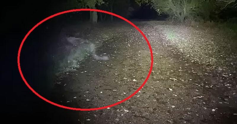 Viral Video | వామ్మో దెయ్యం.. వీడియో వైరల్..! Viral Video | వామ్మో దెయ్యం.. వీడియో వైరల్..!
