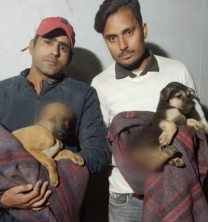 మద్యం మత్తులో.. కుక్క తోక, చెవులు తిన్న మందు బాబులు మద్యం మత్తులో.. కుక్క తోక, చెవులు తిన్న మందు బాబులు
