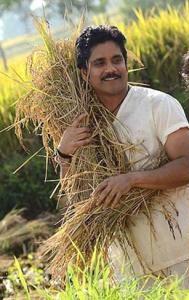 హీరో నాగార్జునకూ.. రైతుబంధు సాయం! హీరో నాగార్జునకూ.. రైతుబంధు సాయం!