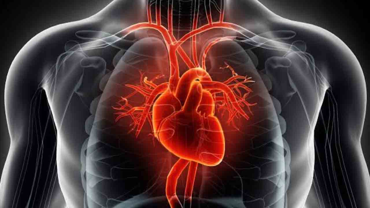 Heart | శారీరక శ్రమతో గుండె భద్రం.. తాజా అధ్యయనంలో వెల్లడి Heart | శారీరక శ్రమతో గుండె భద్రం.. తాజా అధ్యయనంలో వెల్లడి