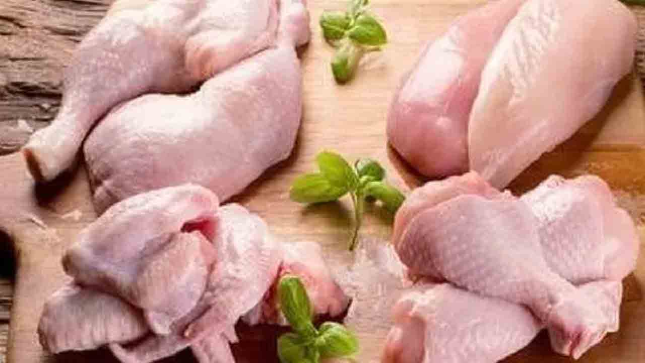 Chicken Prices Drop | మాంసహార ప్రియులకు గుడ్న్యూస్.. భారీగా తగ్గిన చికెన్ ధరలు..! టమాట కంటే తక్కువే..! Chicken Prices Drop | మాంసహార ప్రియులకు గుడ్న్యూస్.. భారీగా తగ్గిన చికెన్ ధరలు..! టమాట కంటే తక్కువే..!