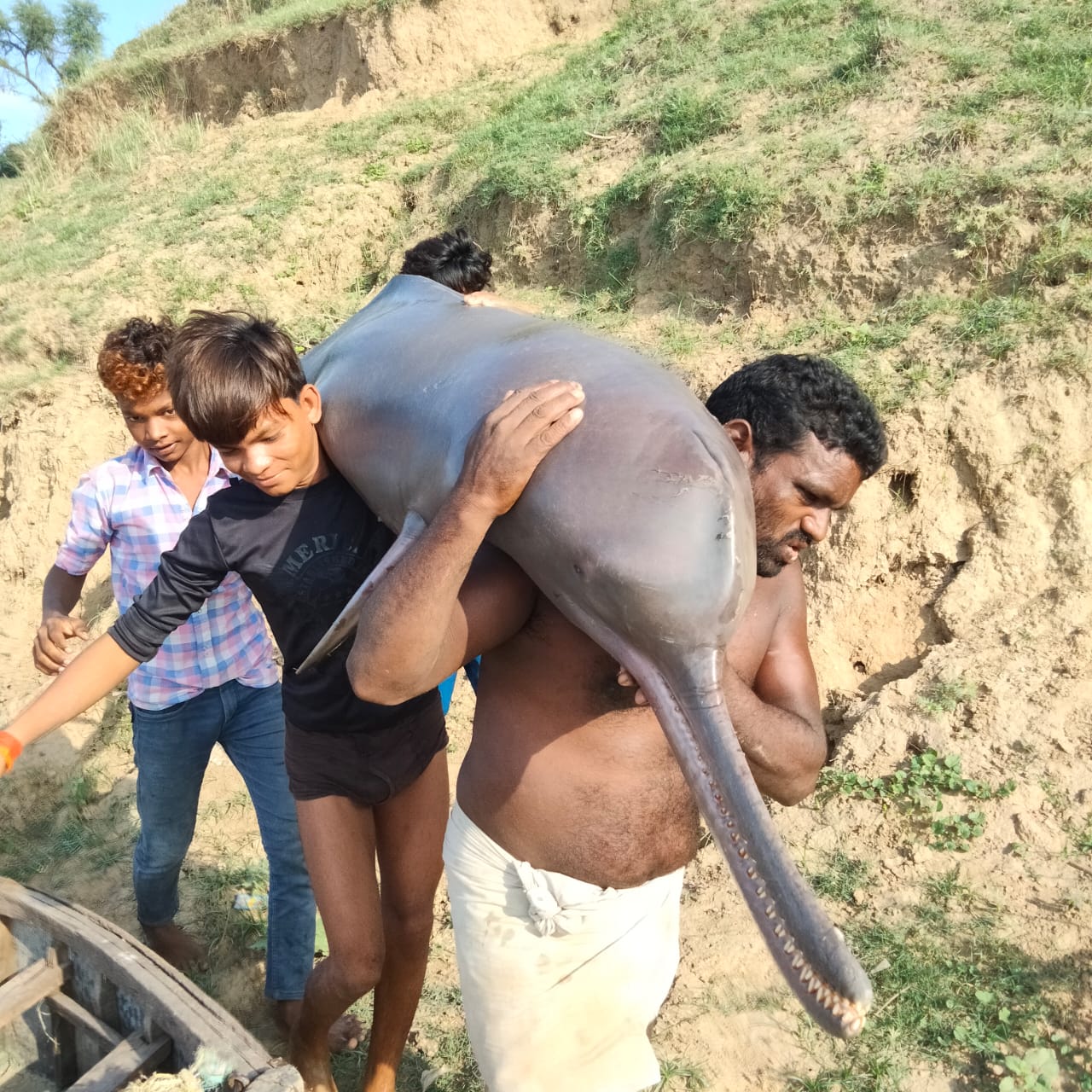 Dolphin | యమునా నదిలో వలలో పడ్డ డాల్ఫిన్.. వండుకు తిన్న జాలర్లు! అరెస్ట్ Dolphin | యమునా నదిలో వలలో పడ్డ డాల్ఫిన్.. వండుకు తిన్న జాలర్లు! అరెస్ట్