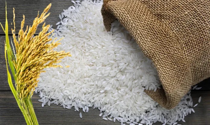 Philippines | భారత్ నుంచి బియ్యం దిగుమతి.. ఫిలిప్పీన్స్ చర్చలు Philippines | భారత్ నుంచి బియ్యం దిగుమతి.. ఫిలిప్పీన్స్ చర్చలు