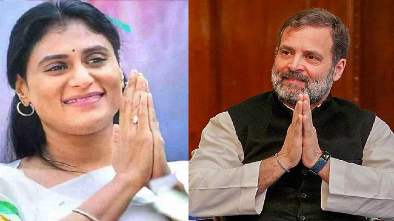 నెలాఖరులోగా తేల్చండి.. కాంగ్రెస్ హైకమాండ్కు షర్మిల డెడ్లైన్ నెలాఖరులోగా తేల్చండి.. కాంగ్రెస్ హైకమాండ్కు షర్మిల డెడ్లైన్