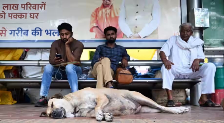 G20 Summit | జీ 20 సదస్సు నేపథ్యంలో.. దిల్లీలో కుక్కల వేట. కనపడకుండా దాచాలని ఆదేశాలు G20 Summit | జీ 20 సదస్సు నేపథ్యంలో.. దిల్లీలో కుక్కల వేట. కనపడకుండా దాచాలని ఆదేశాలు