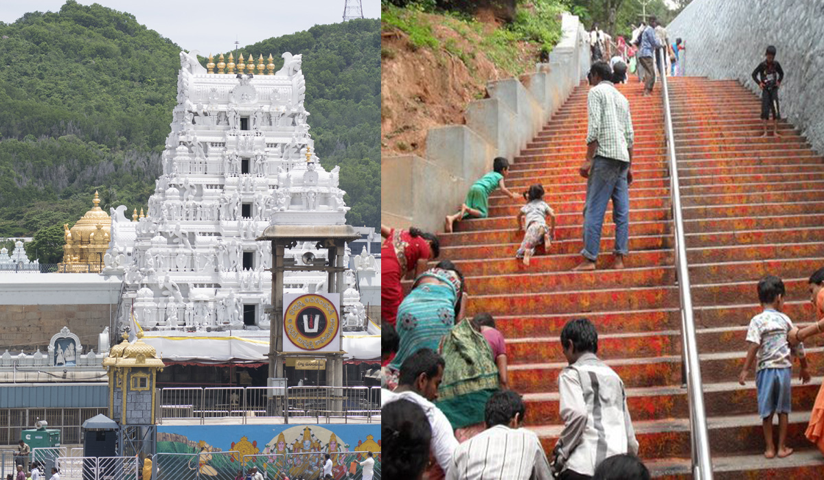 Tirumala | నడకమార్గంలో చిరుతలను బంధించేందుకు 500 ట్రాప్ కెమెరాలు Tirumala | నడకమార్గంలో చిరుతలను బంధించేందుకు 500 ట్రాప్ కెమెరాలు