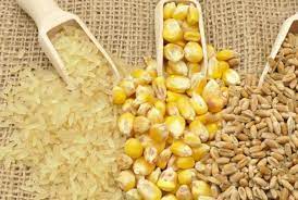 Grain Crisis | ముంచుకొస్తున్న ధాన్య సంక్షోభం Grain Crisis | ముంచుకొస్తున్న ధాన్య సంక్షోభం