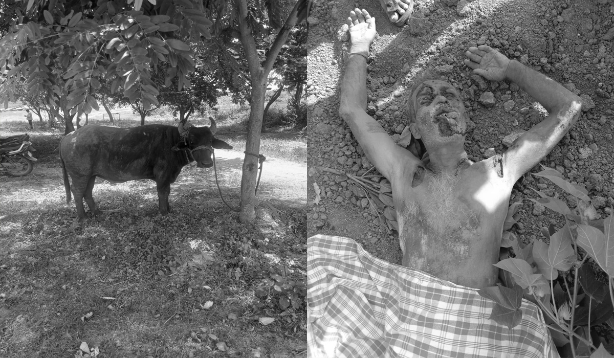 Nalgonda | దున్నపోతు దాడిలో ఒకరి మృతి Nalgonda | దున్నపోతు దాడిలో ఒకరి మృతి