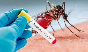 Dengue | రాష్ట్రాన్ని భయపెడుతున్న డెంగ్యూ Dengue | రాష్ట్రాన్ని భయపెడుతున్న డెంగ్యూ