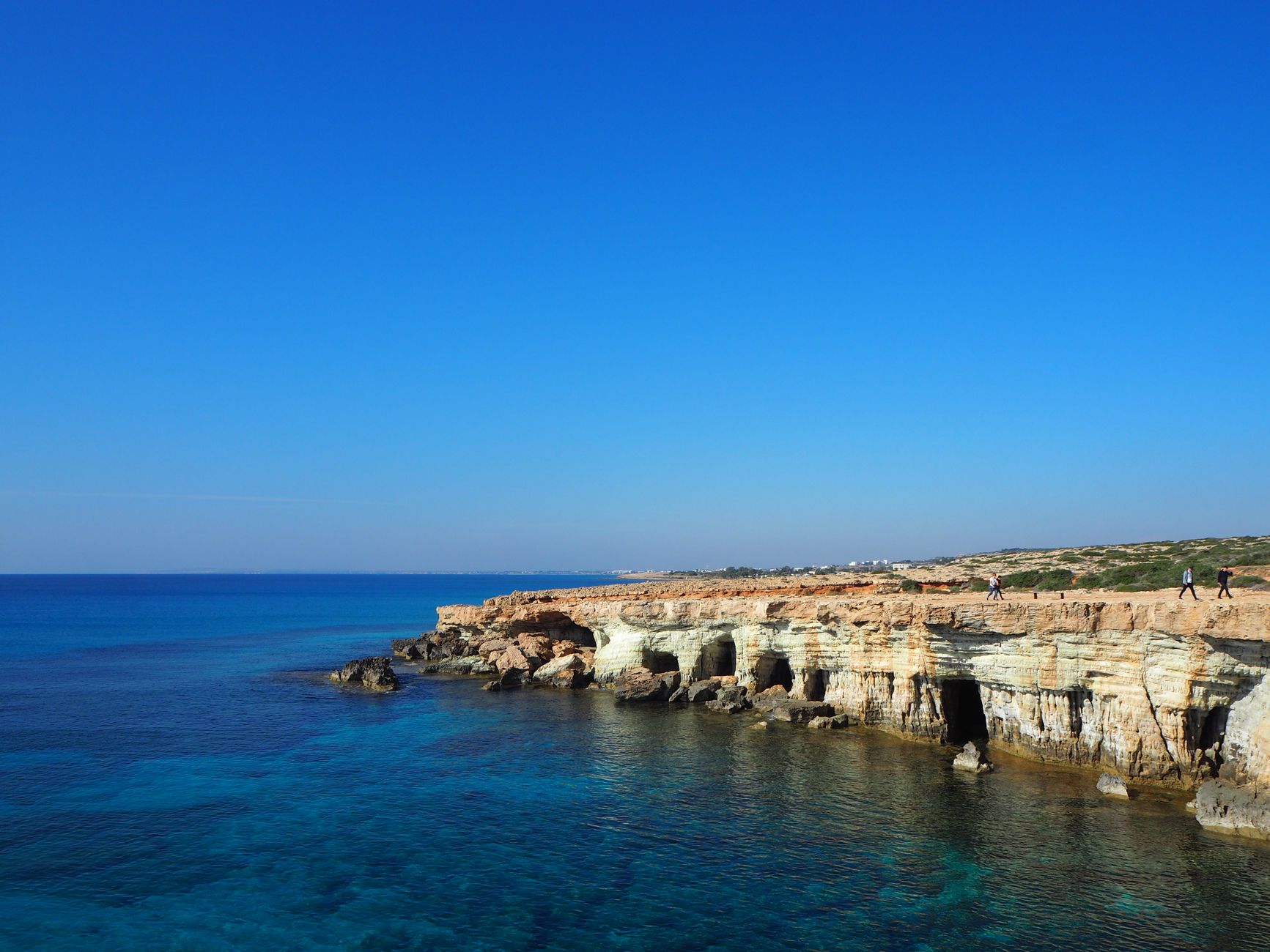 Blog Banner