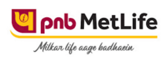 PNB MetLife term insurance plan for long term family security