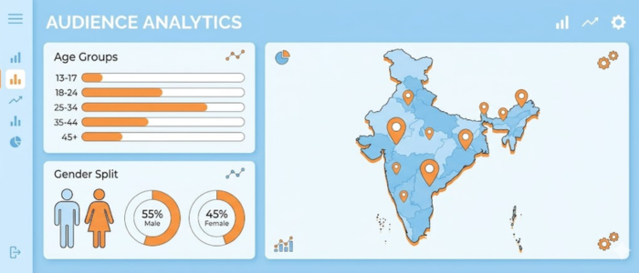 what brands look for when choosing a creator - audience demographics and insights