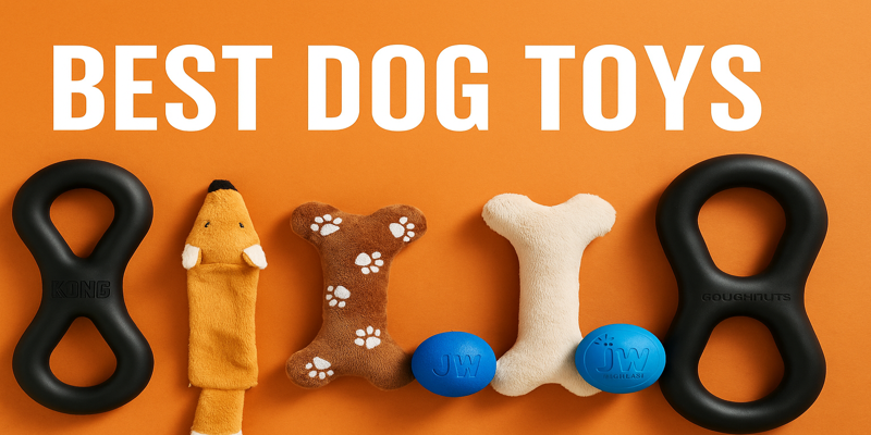 Best Dog Toys – Types of Toys for Dogs That Keep Tails Wagging!