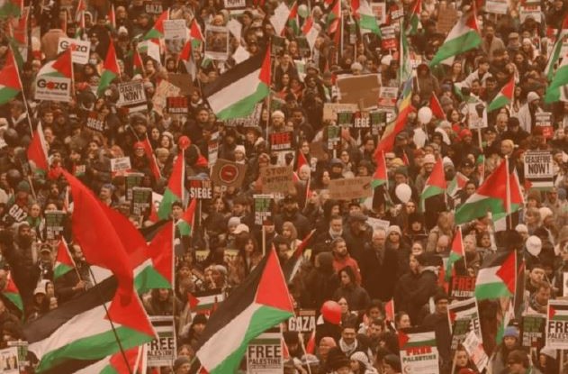 Special Report Image