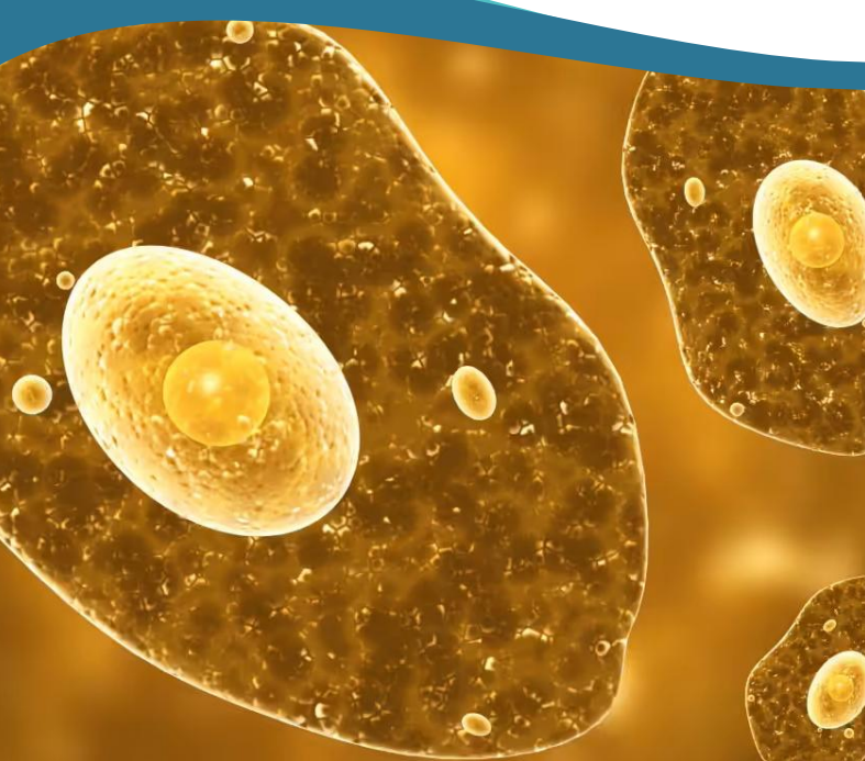 Special Report Image