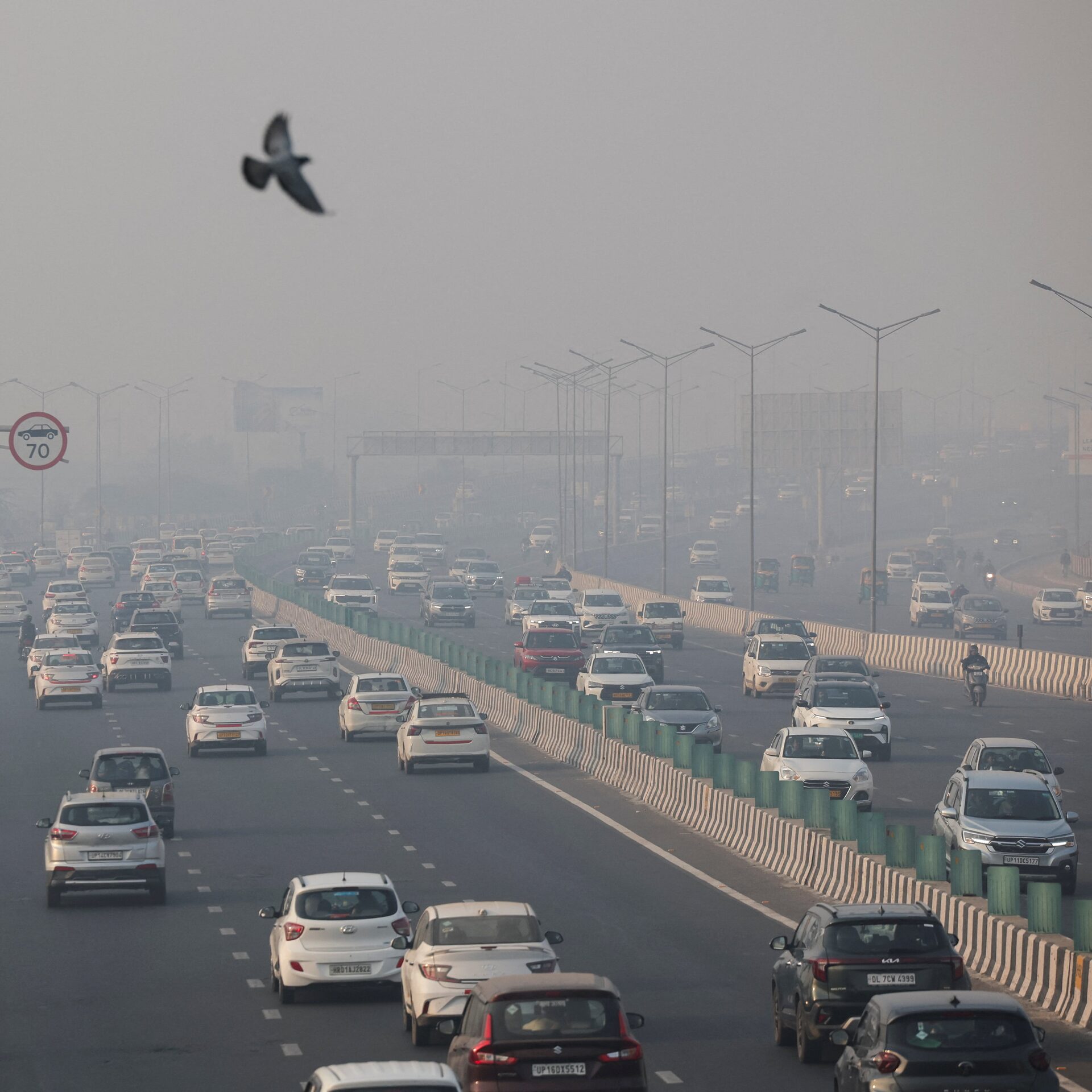 Special Report Image