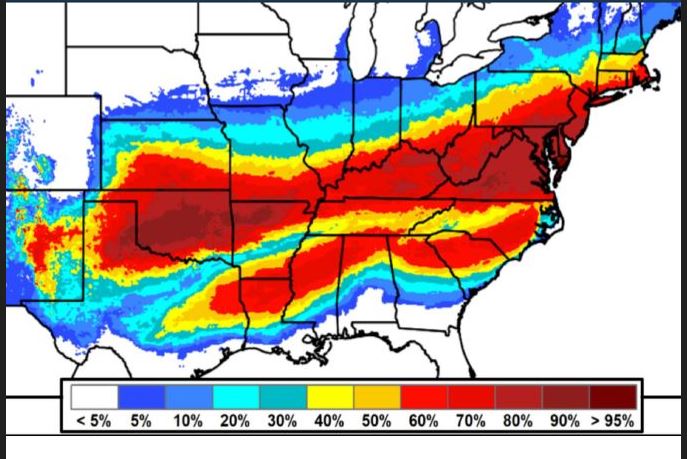 Special Report Image