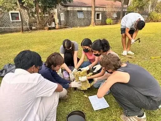 Students working together on the campus lawn