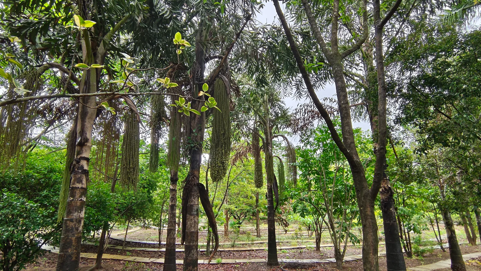 MUWCI’S first biodiversity monitoring newsletter
