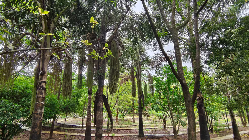 MUWCI’S first biodiversity monitoring newsletter
