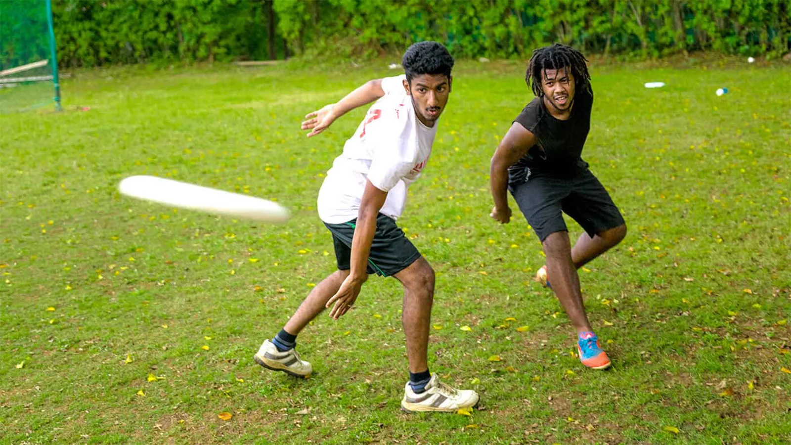 Sports courts