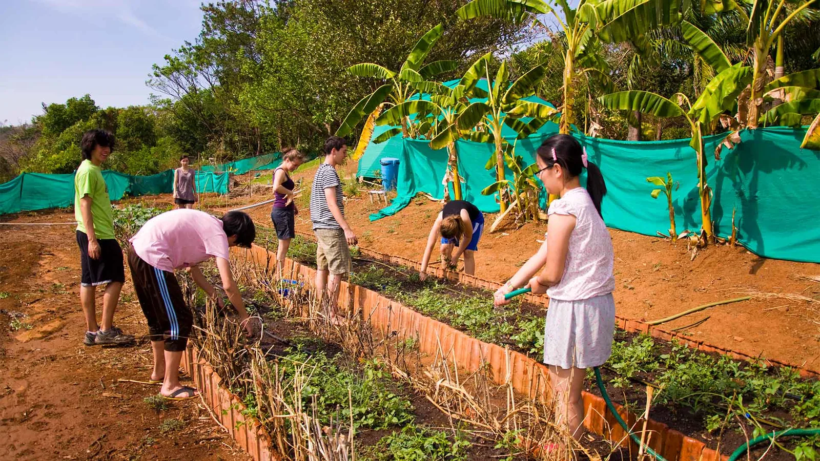 Organic farm