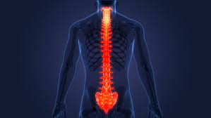 Spine Traction Devices 