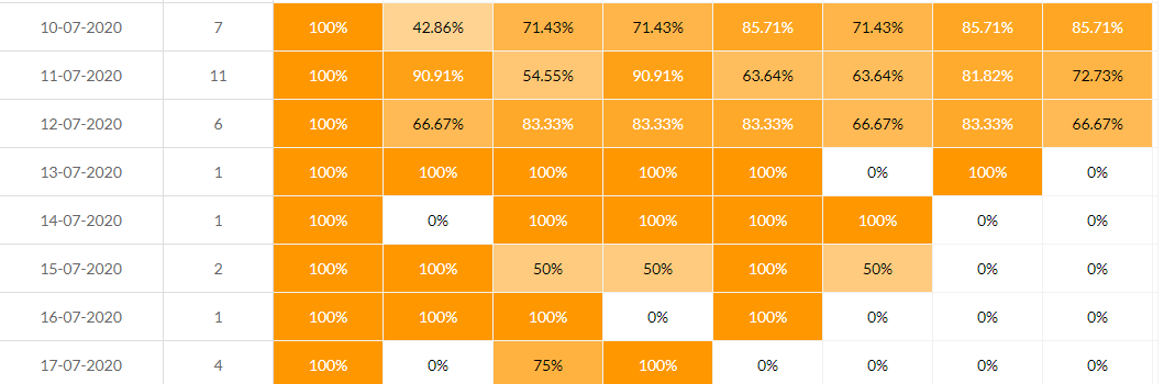 cohort analytics