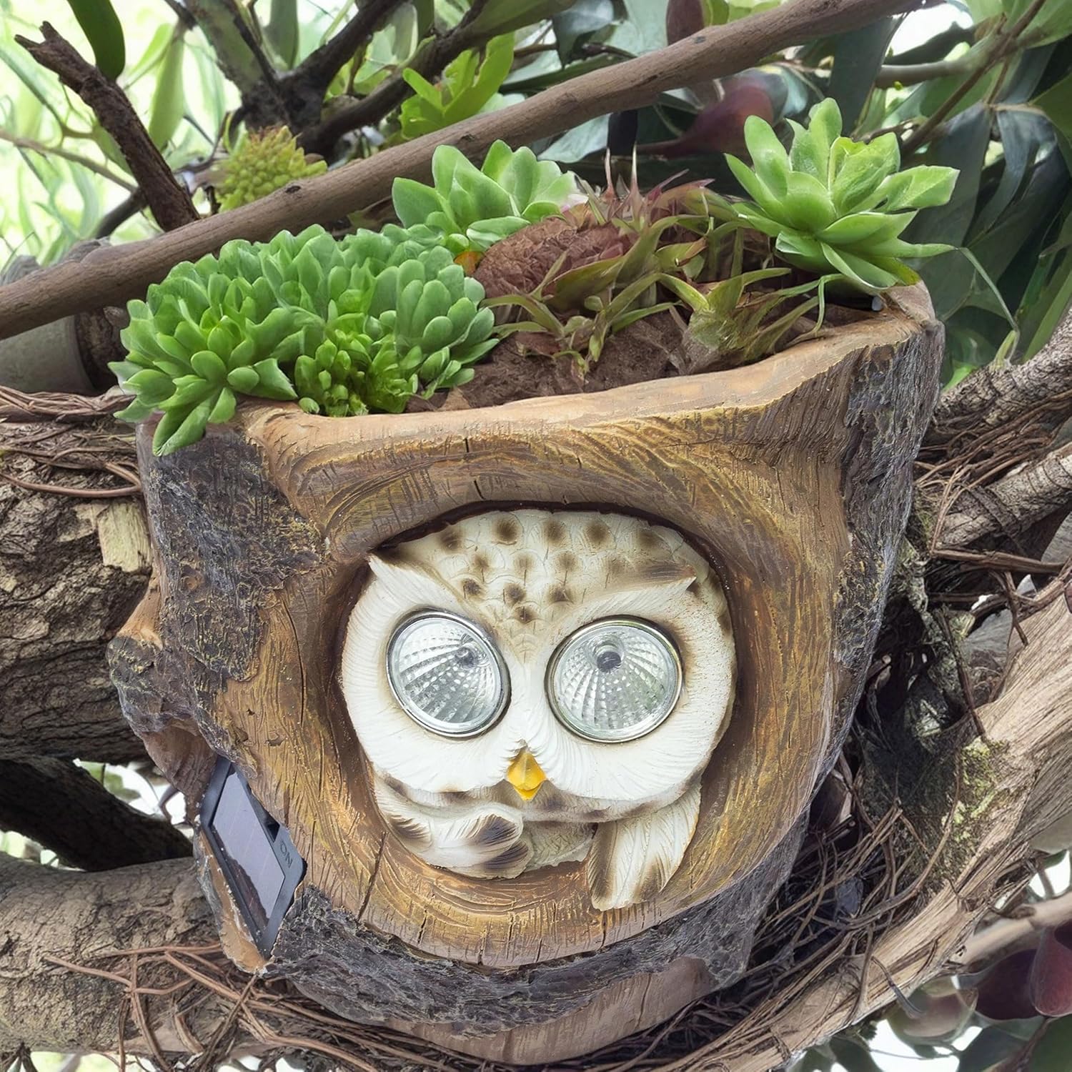 Solar-Powered Owl 6" Flower Pot – Indoor/Outdoor Plant Holder with LED Eyes, Weather-Resistant Decorative Showpiece for Garden, Patio, Tree Branch, Succulent Planter, Unique Gift (Owl) — photo — 8 of 8
