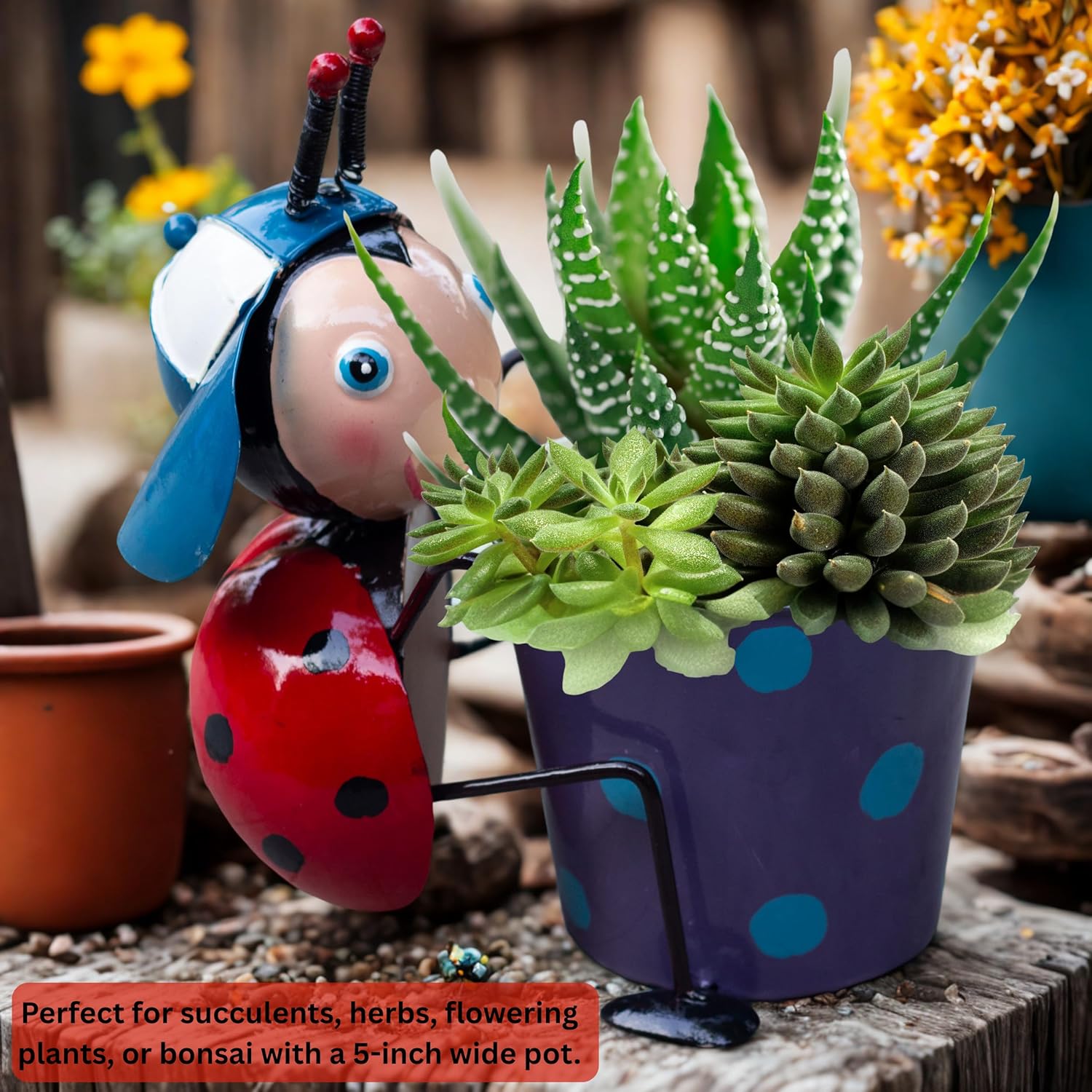 Ladybug Metal Plant Pot – Cute Decorative Planter for Succulents, Bonsai, Flowers – Indoor Outdoor Garden Decor for Table, Home Decor, Office, Balcony (Red Ladybug) — photo — 5 of 8
