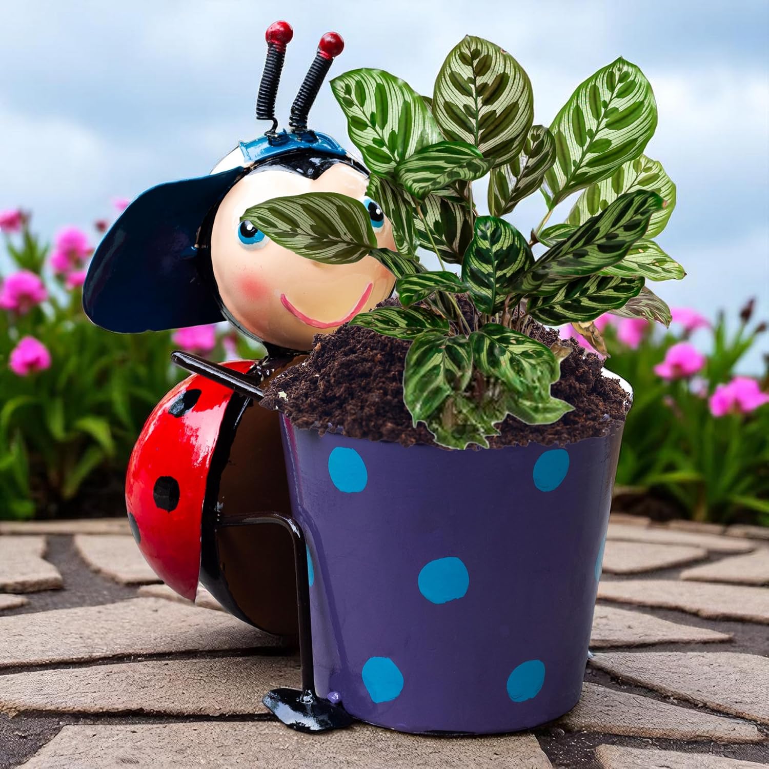 Ladybug Metal Plant Pot – Cute Decorative Planter for Succulents, Bonsai, Flowers – Indoor Outdoor Garden Decor for Table, Home Decor, Office, Balcony (Red Ladybug) — photo — 8 of 8
