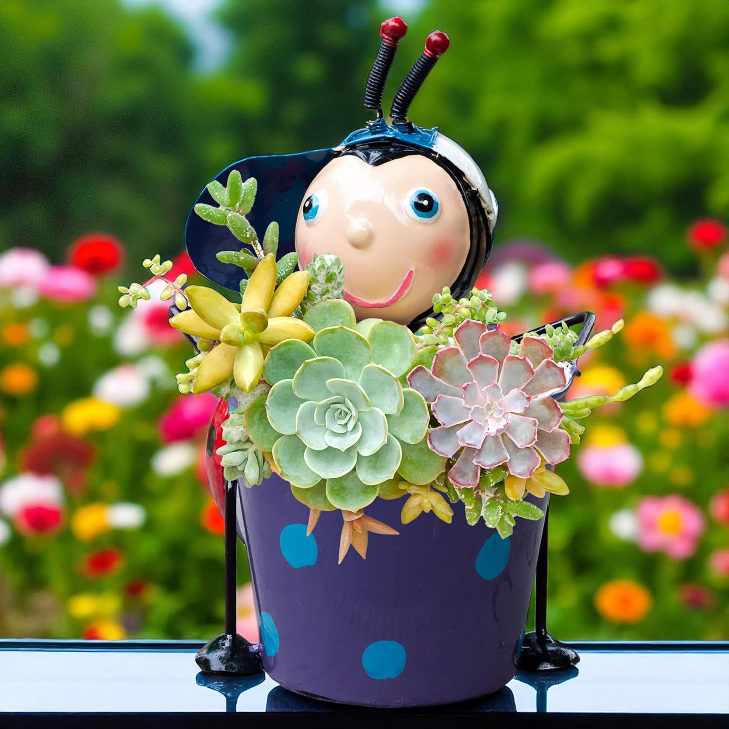 Ladybug Metal Plant Pot – Cute Decorative Planter for Succulents, Bonsai, Flowers – Indoor Outdoor Garden Decor for Table, Home Decor, Office, Balcony (Red Ladybug) — photo — 2 of 8