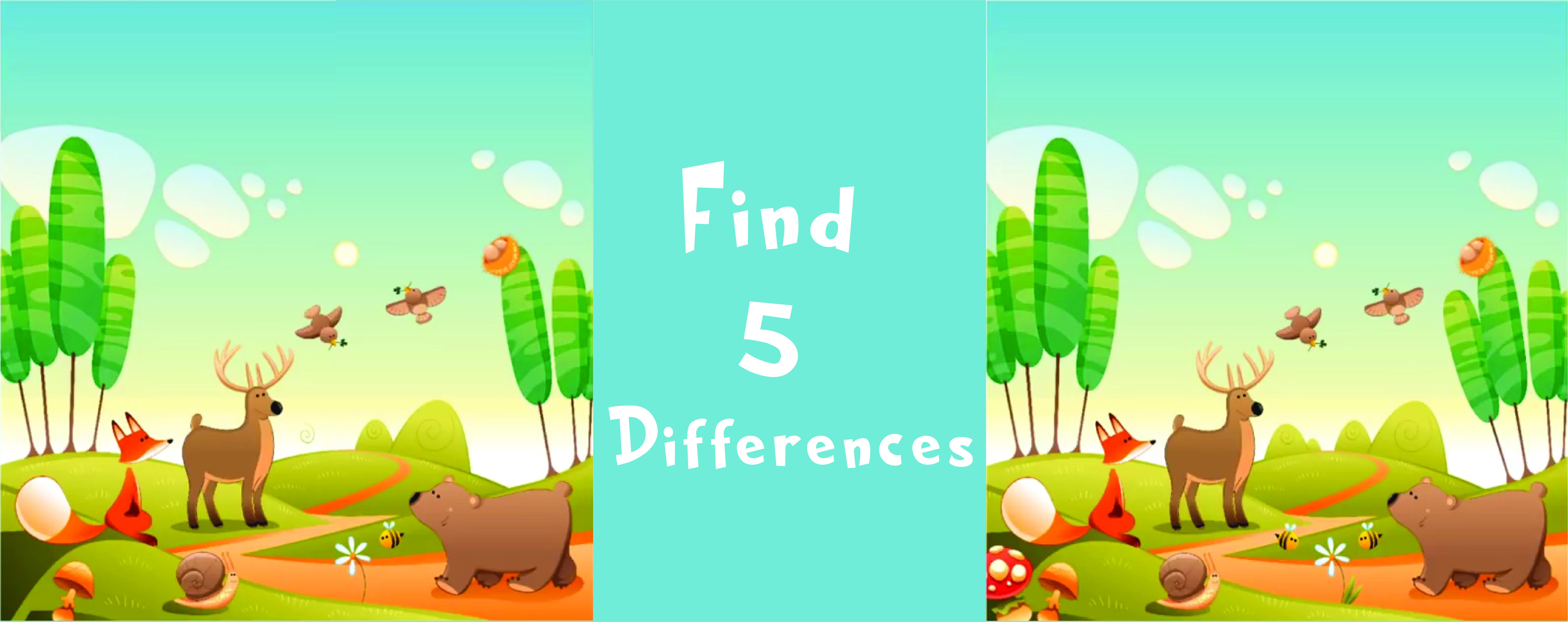 Find The Differences