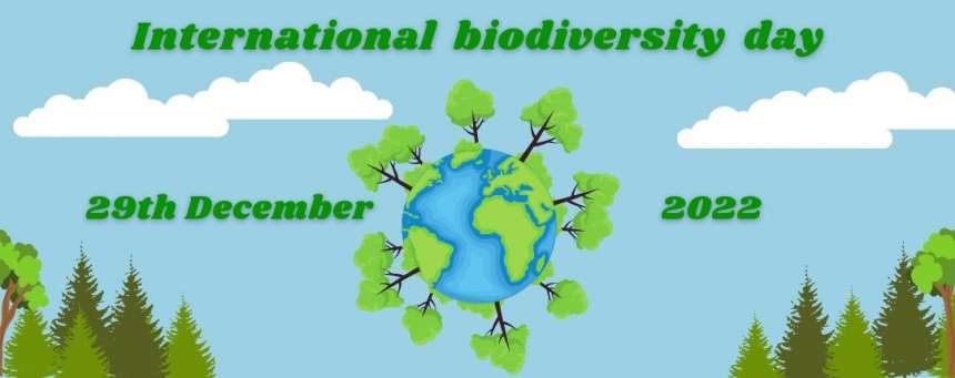 Biodiversity is all the different kinds of life you