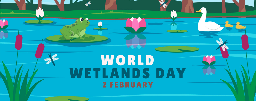 World Wetlands Day