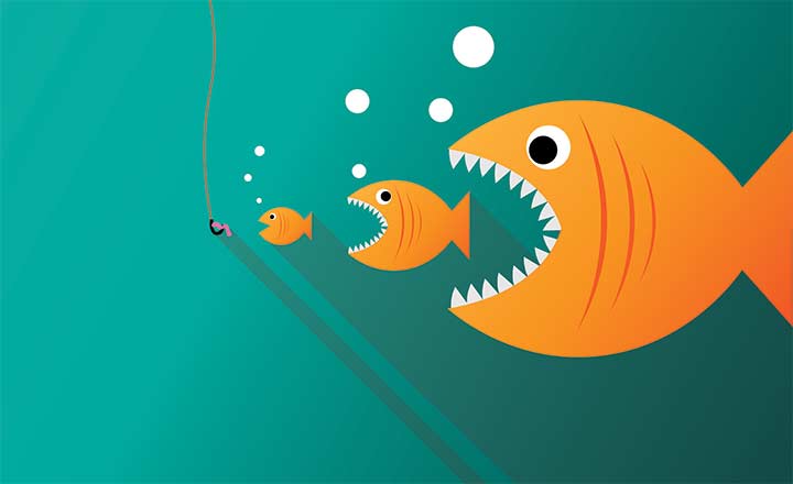 Oh fish! Who just got gobbled up