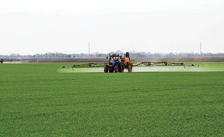 Advantage Multinational