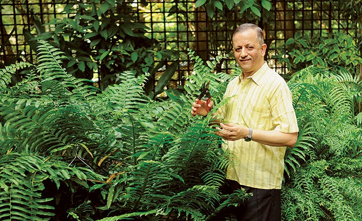 Giving Back To Nature