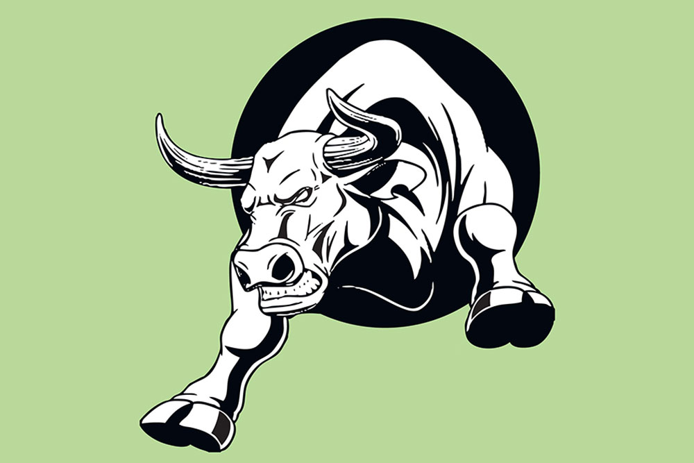 The Year Of Multibaggers