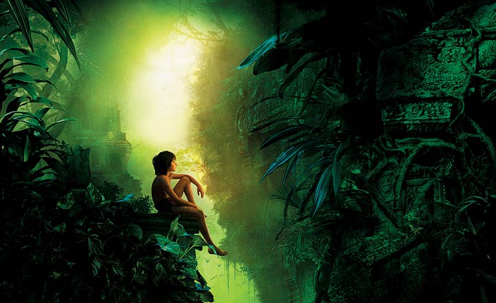 Lost in the jungle