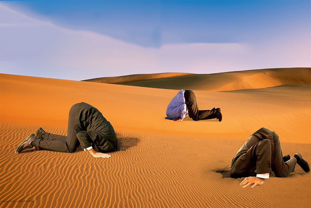 Why institutional investors duck governance issues