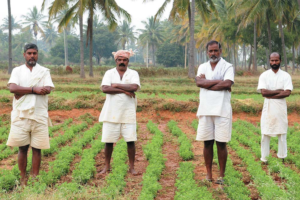 Reaping what they sow