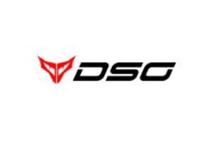 DREAM SPORTING GEAR logo