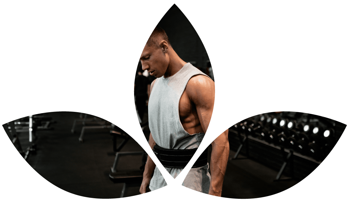 Fitness & Activewear Fabrics