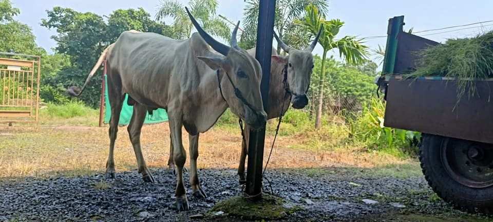Others Others in MAHARASHTRA