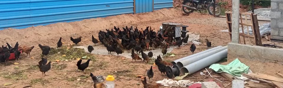 Others Others in  KARNATAKA