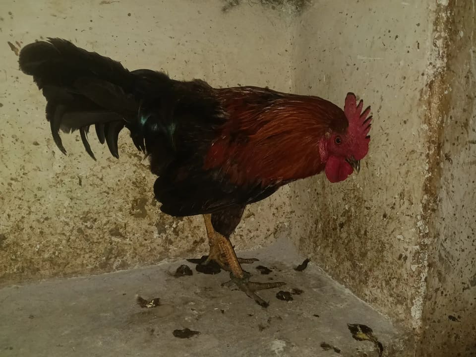 Others Others in  MADHYA PRADESH